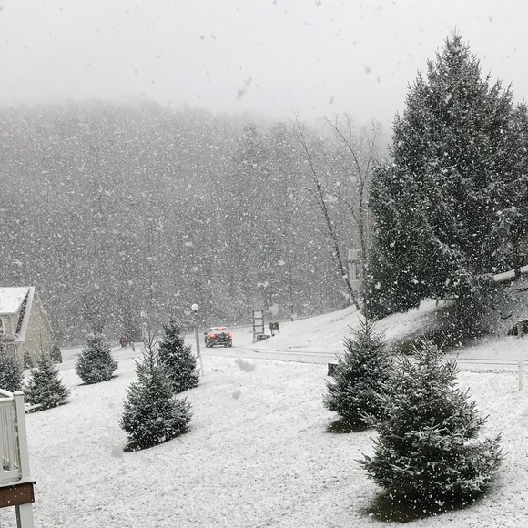 Meet your Posher, Rachel - Picture 1 of 1